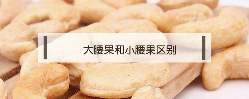 大腰果和小腰果區(qū)別