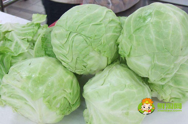 包菜怎么保存兩個(gè)月,包菜放冰箱兩個(gè)月還能吃嗎