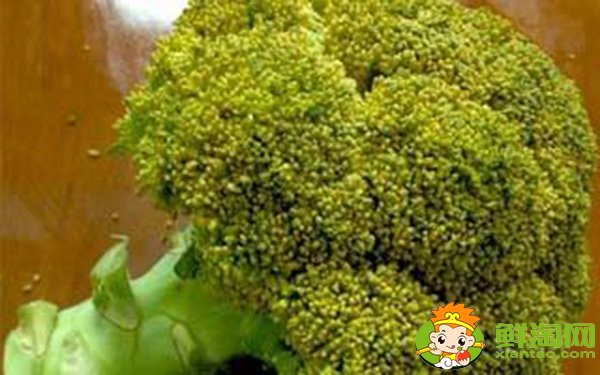 西蘭花變黃了還能給寶寶吃嗎,西蘭花變黃怎么處理
