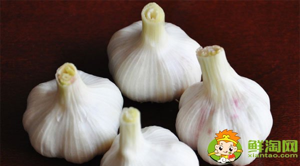 大蒜和冰糖煮水真的治咳嗽嗎，大蒜的功效與作用