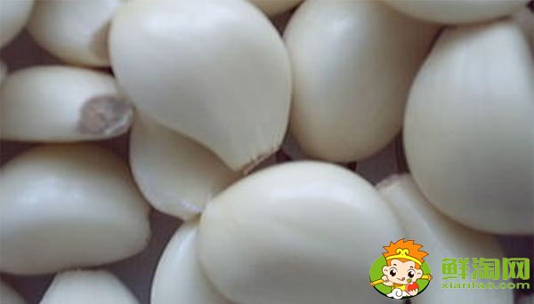 金鄉(xiāng)大蒜最新價格,一九年下半年大蒜行情