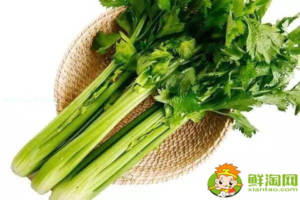 芹菜放冰箱軟了還能吃嗎，熟芹菜放冰箱能放幾天