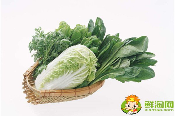哪個季節青菜最多,什么蔬菜冬天凍不死