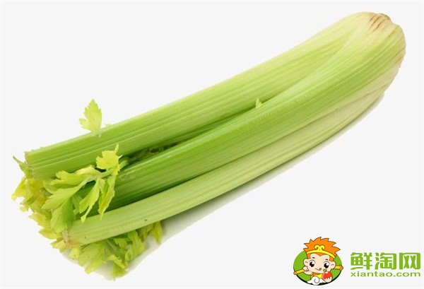 芹菜和西芹的區別，西芹和芹菜哪個營養好