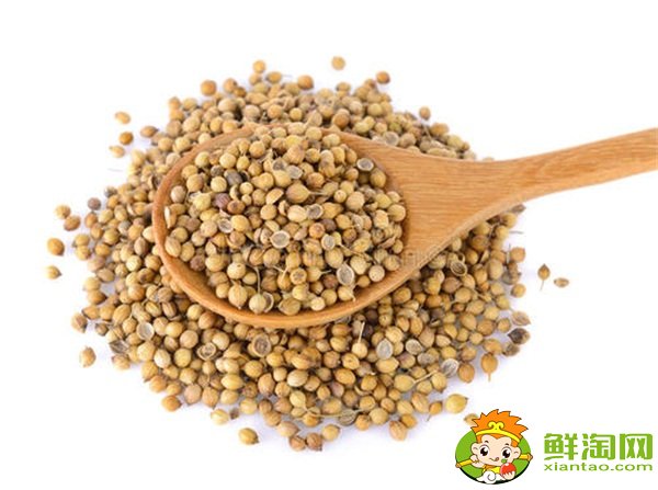 香菜什么時(shí)候種植最好，香菜種植方法和時(shí)間
