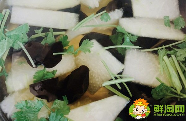 香菜怎么保存新鮮不爛，冬瓜木耳香菜湯可以減肥嗎