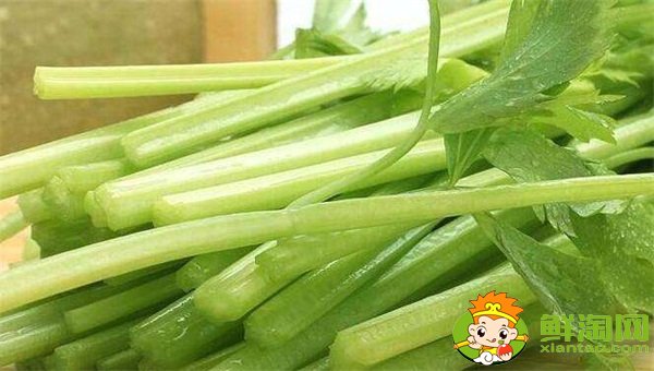 山東芹菜產地哪里有名，西芹哪里產的最好