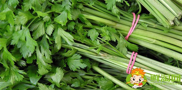 山東芹菜的主要產(chǎn)地在哪，芹菜基地哪里最便宜