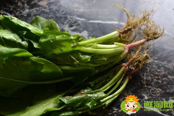 菠菜根色是什么顏色，蔥和菠菜的根有什么不同