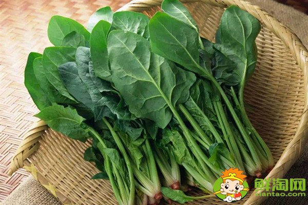 菠菜根色是什么顏色,蔥和菠菜的根有什么不同