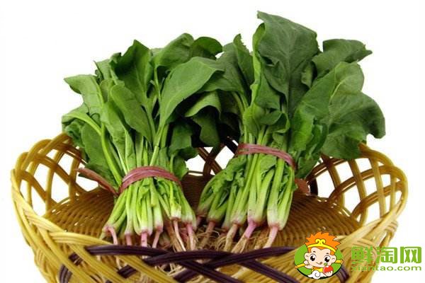 菠菜賤賣是什么梗，網(wǎng)絡(luò)語菠菜是什么意思