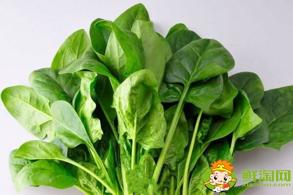 菠菜賤賣是什么梗，網(wǎng)絡(luò)語菠菜是什么意思