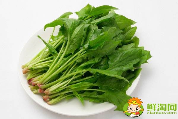 菠菜賤賣是什么梗，網(wǎng)絡(luò)語菠菜是什么意思