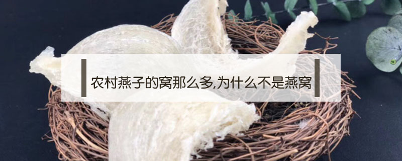農村燕子的窩那么多,為什么不是燕窩