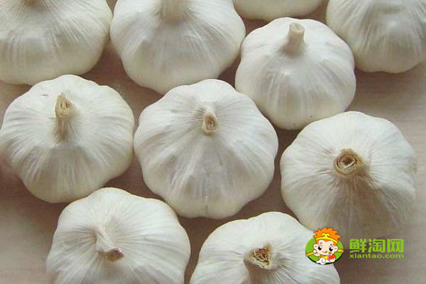 蜂蜜不能和什么一起吃，原來蜂蜜是不適合加到豆?jié){中飲用