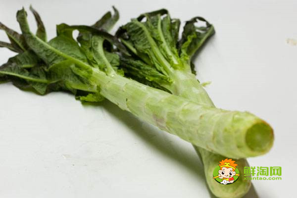 蜂蜜不能和什么一起吃，原來蜂蜜是不適合加到豆?jié){中飲用