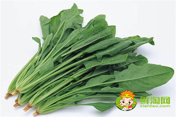 為什么菠菜不能放很長(zhǎng)時(shí)間,菠菜可以放冰箱冷凍嗎