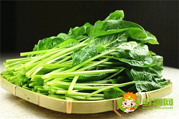 菠菜保鮮和儲存方法，菠菜為什么不能晚上吃