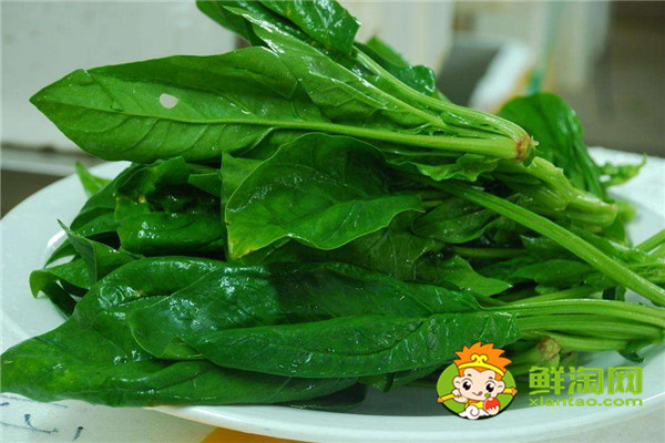 菠菜怎么煮出來又嫩又好吃,菠菜可以直接涮鍋嗎