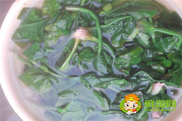 菠菜涼拌怎么好吃,菠菜涼拌要焯水多長(zhǎng)時(shí)間才行
