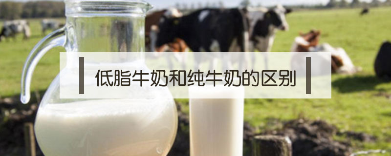 低脂牛奶和純牛奶的區(qū)別