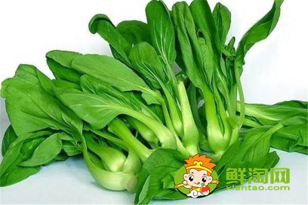 小青菜開水燙過能隔夜嗎,開水燙青菜有營養(yǎng)嗎