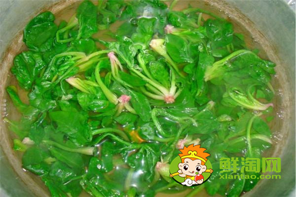 菠菜用開水燙一下能吃嗎,每天吃菠菜對身體好嗎