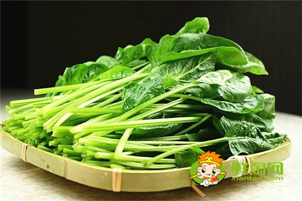菠菜怎樣吃營養不流失,晚上吃菠菜影響睡眠嗎