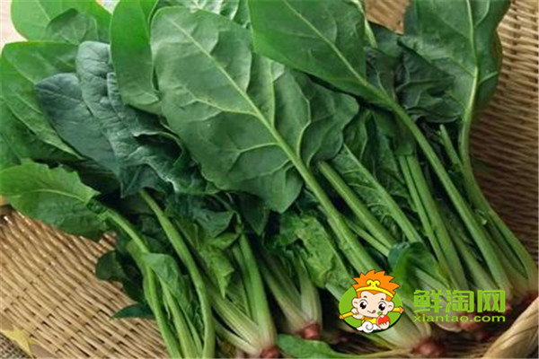 菠菜怎樣吃營養不流失，晚上吃菠菜影響睡眠嗎