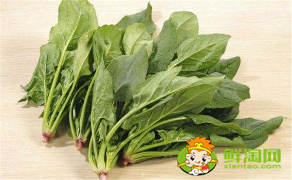 菠菜一定要吃熟的嗎，菠菜未熟吃了會(huì)怎么樣