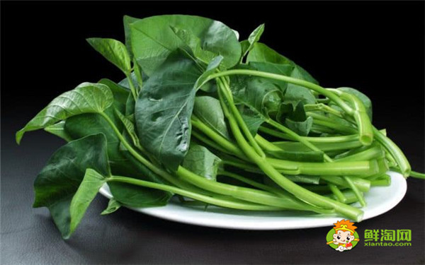 空心菜怎么擇菜，空心菜為什么不用刀切