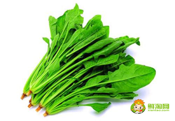 菠菜一定要吃熟的嗎，菠菜未熟吃了會(huì)怎么樣