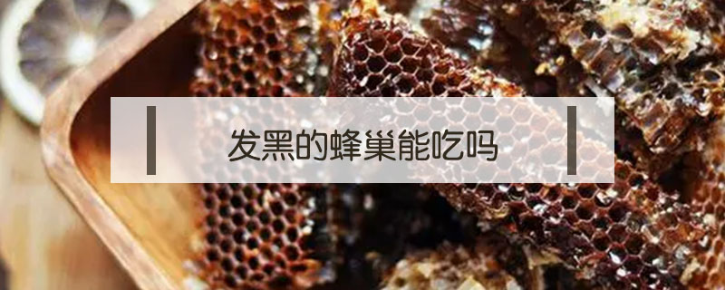 發黑的蜂巢能吃嗎