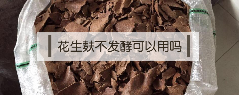 花生麩不發(fā)酵可以用嗎