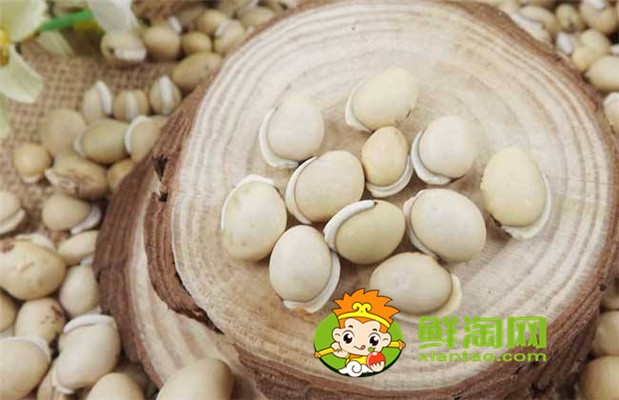 哪里出產的白扁豆最好，白扁豆怎么吃才祛濕