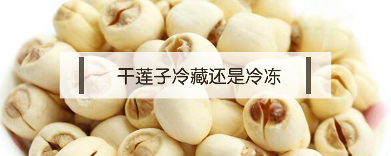 干蓮子冷藏還是冷凍