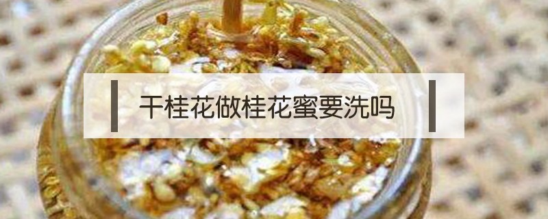 干桂花做桂花蜜要洗嗎
