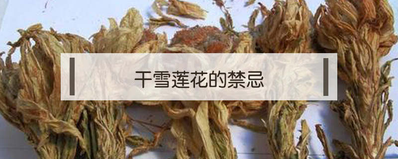 干雪蓮花的禁忌