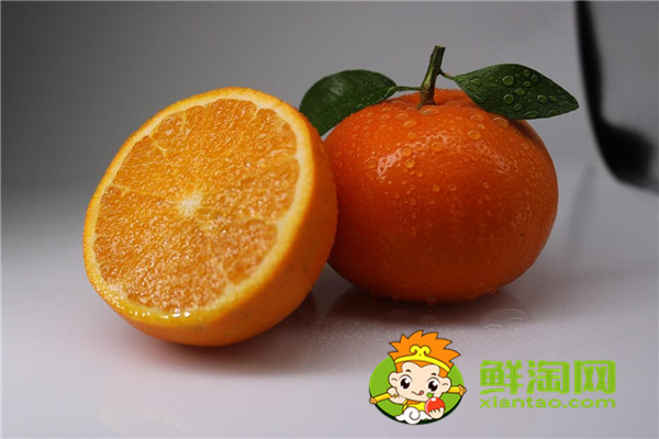 目前常見的柑橘品種有那些，最受歡迎的柑橘品種是什么
