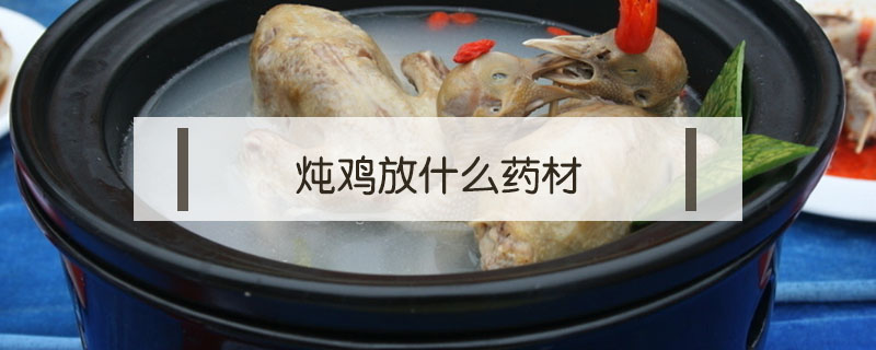 燉雞放什么藥材