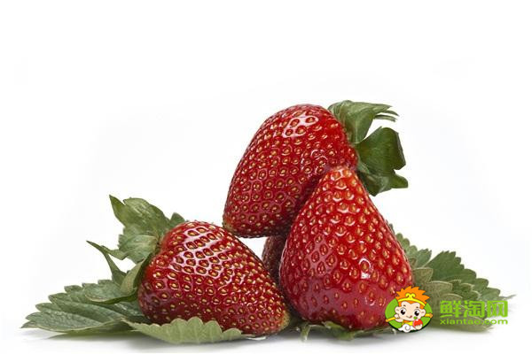 反季節(jié)草莓幾月份熟，怎么挑選草莓好吃