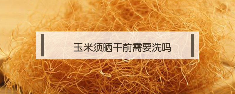 玉米須曬干前需要洗嗎