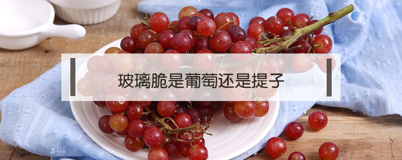 玻璃脆是葡萄還是提子