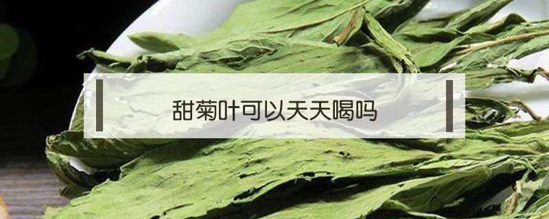 甜菊葉可以天天喝嗎