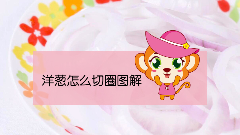 洋蔥怎么切圈圖解