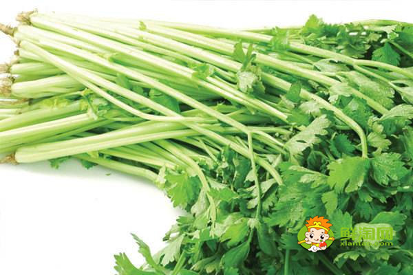十種刮油食物越吃越瘦，膳食纖維等物質(zhì)豐富的食物可以起到很好的減肥瘦身作用