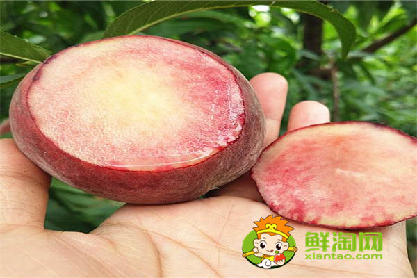 冬桃什么時候成熟，常吃冬桃有哪些好處
