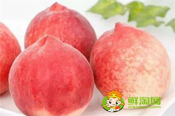冬桃產地哪里的最好,冬桃和雪桃有什么區別