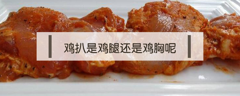 雞扒是雞腿還是雞胸呢