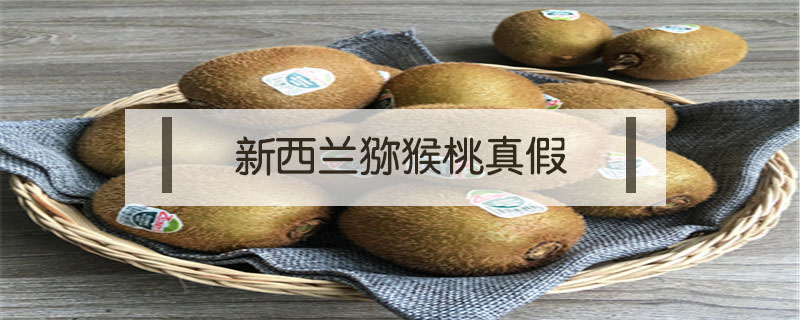 新西蘭獼猴桃真假